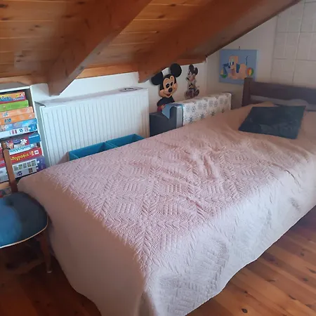 Voula's Loft In Lefkas Town Daire